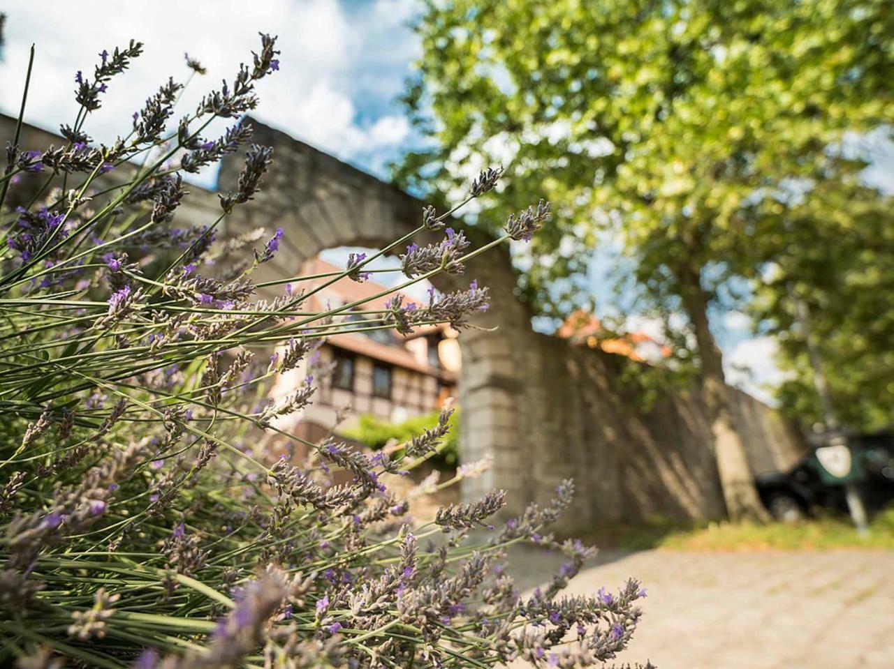 Gaestehaus Moenchshof Sommerhausen Buitenkant foto